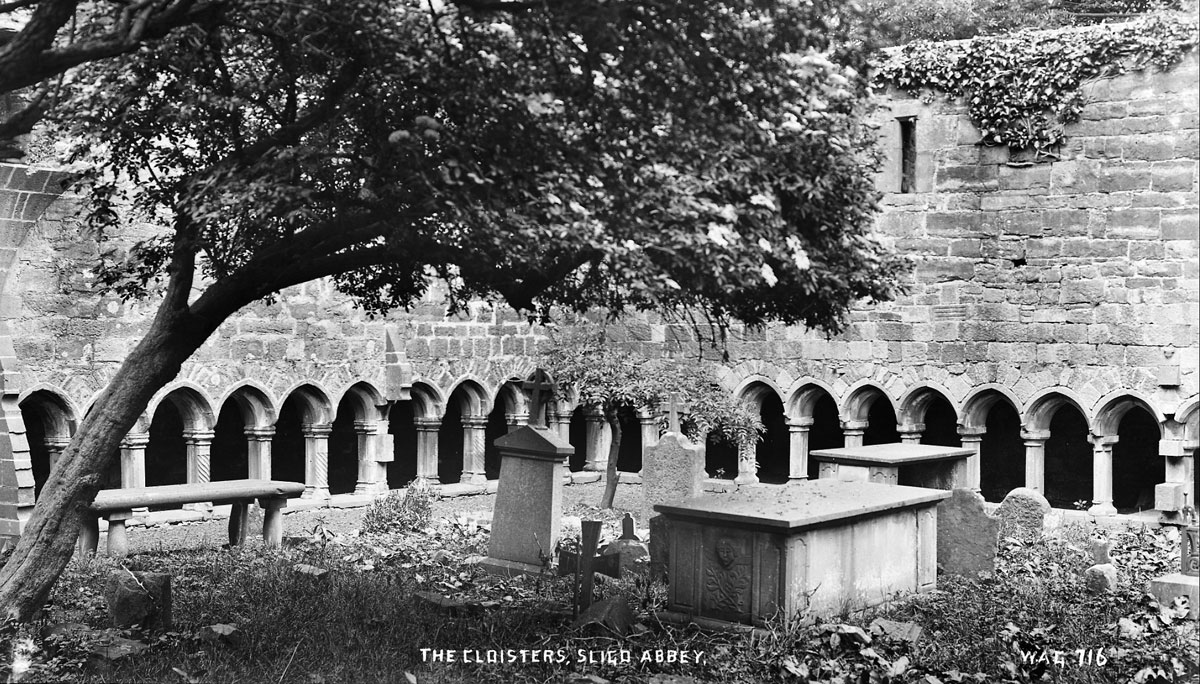 The heavily overgrown cloisters in Sligo Dominican Friary, which date to about 1,450 AD.