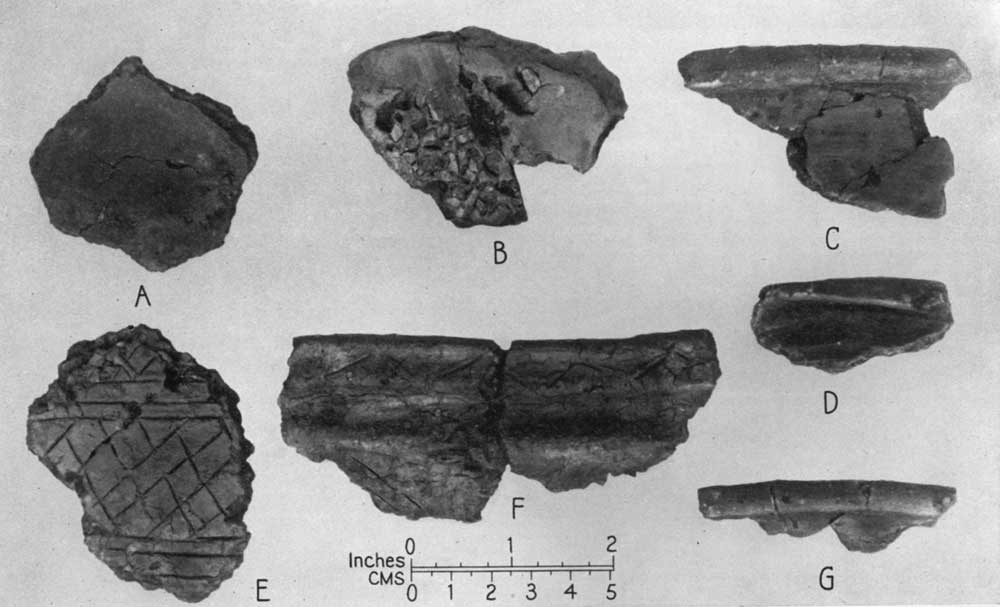 Pottery from Creevykeel.