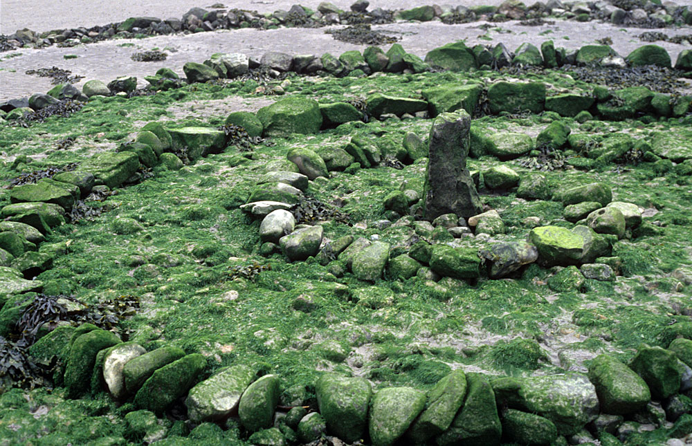 Medicine wheel, Claddagh beach, 1994.