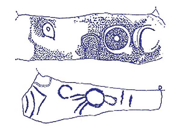 Carvings on the stone basin from Site Z, after Claire O'Kelly.