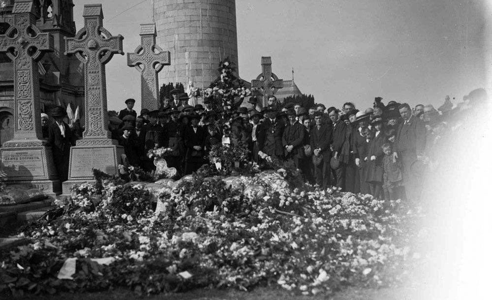 Flowers, Glasnevin, 1915.