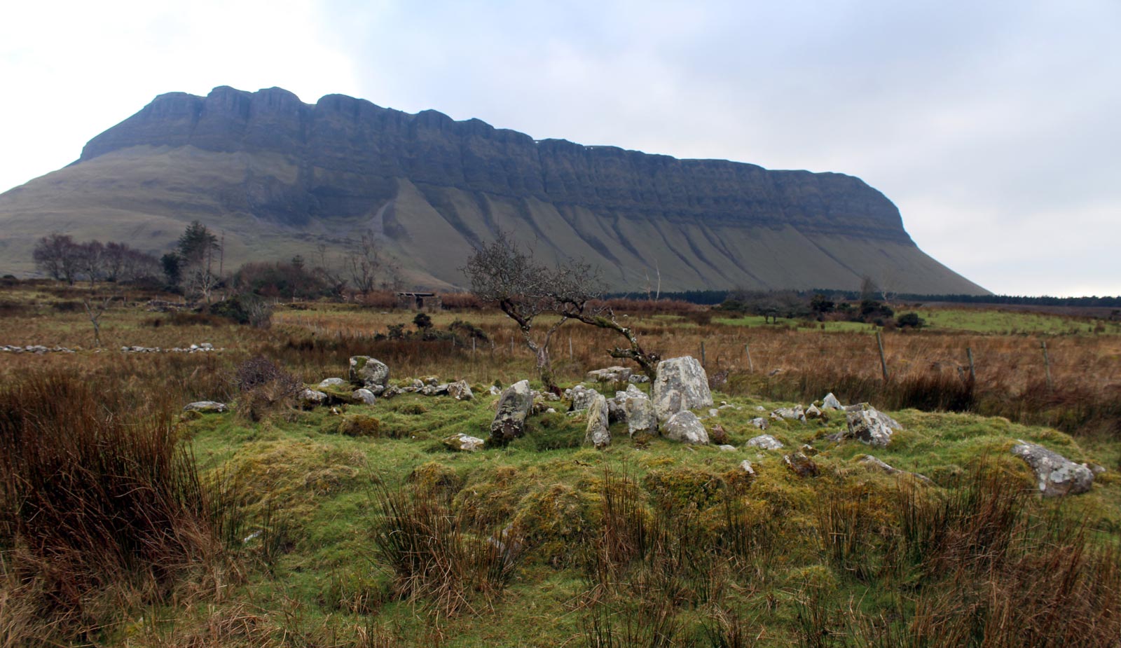 The passage-grave at Ardnaglass.