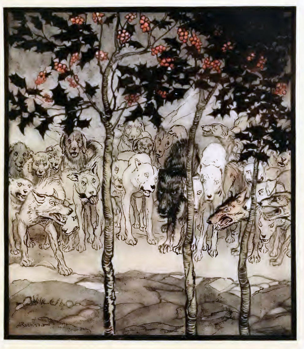 The Hounds of the Fianna by Arthur Rackham.