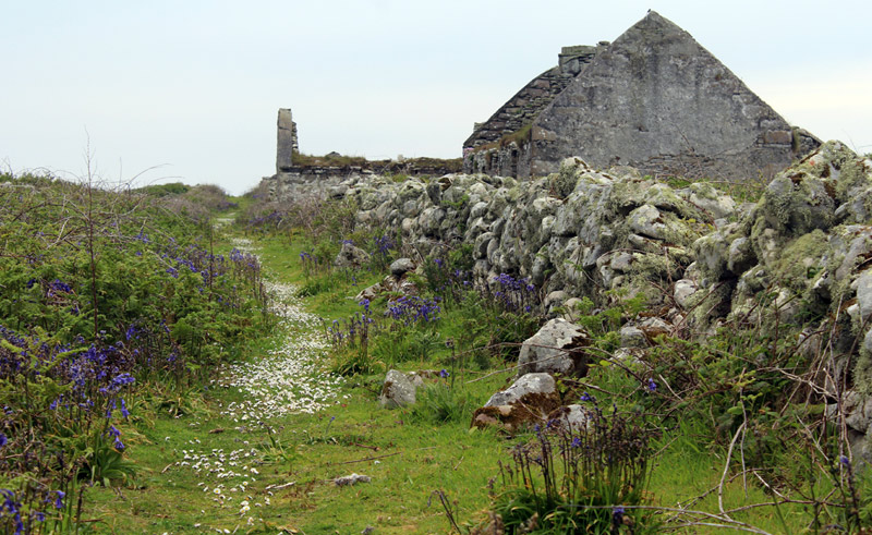 Main Street, Inishmurray, 2016.