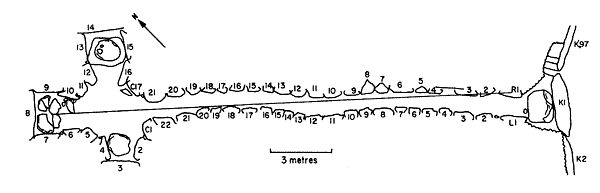 Plan of Newgrange tomb