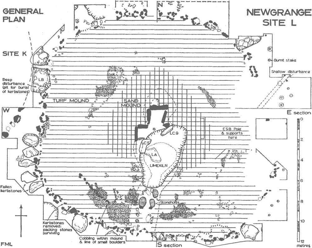 Plan Site L. After Claire O'Kelly.