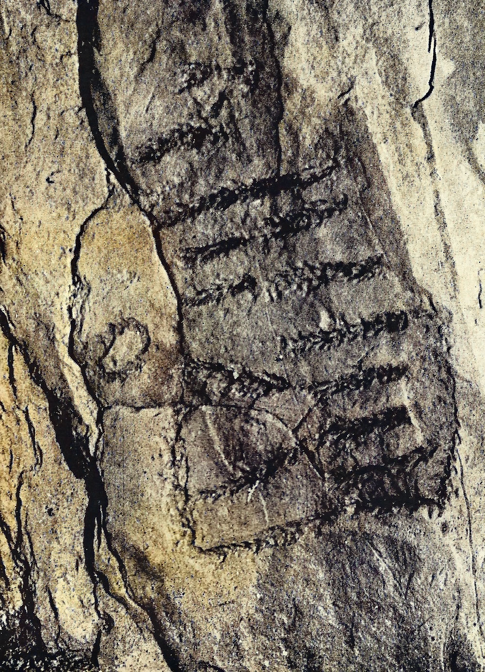 The Ship carving within the chamber of Newgrange.