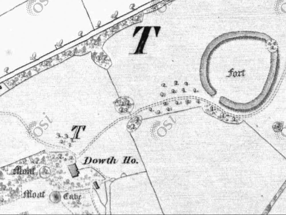 Dowth Hall and monumens on the 1837 OS map.