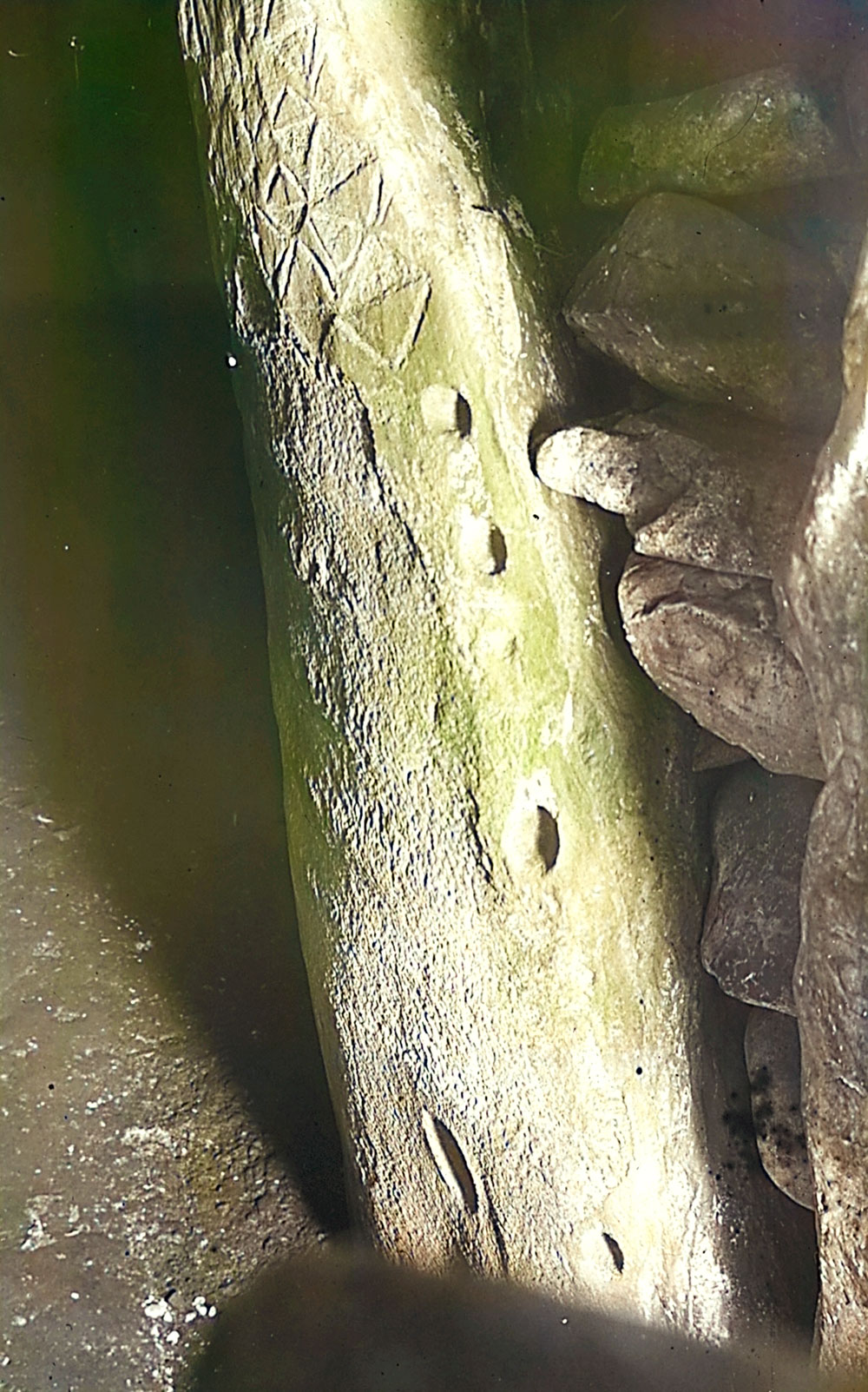 An early photograph of the entrance to the chamber of Newgrange.