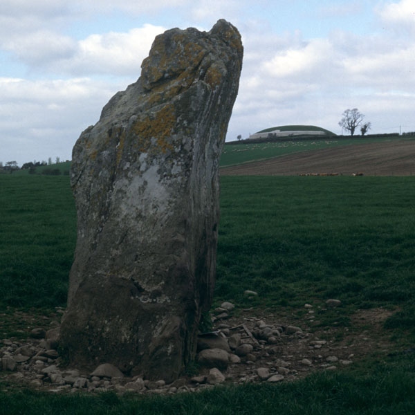 The large standing stone labelled Site C.