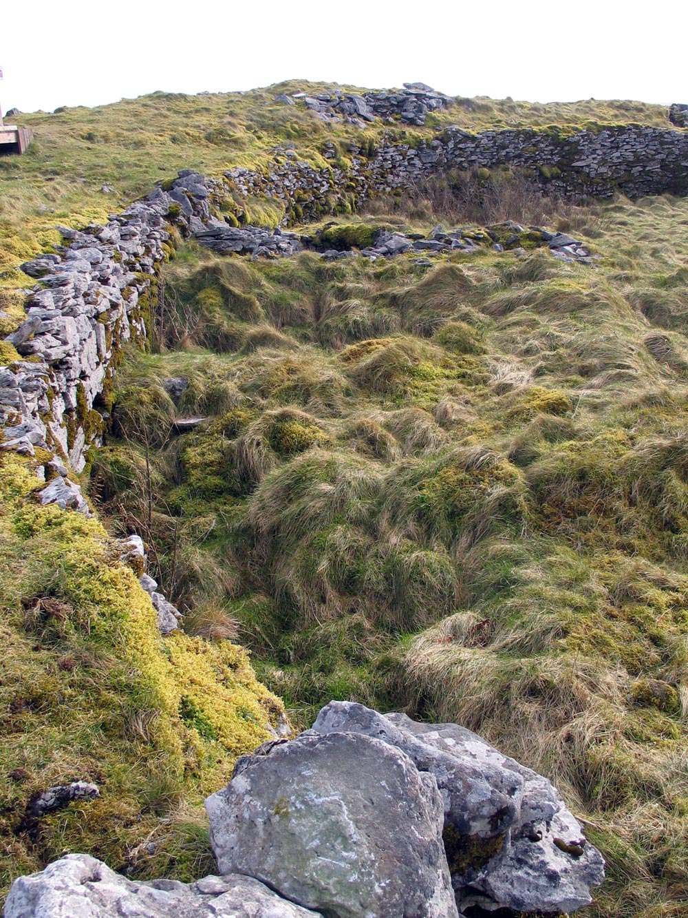 The walls of Cahercummain.  