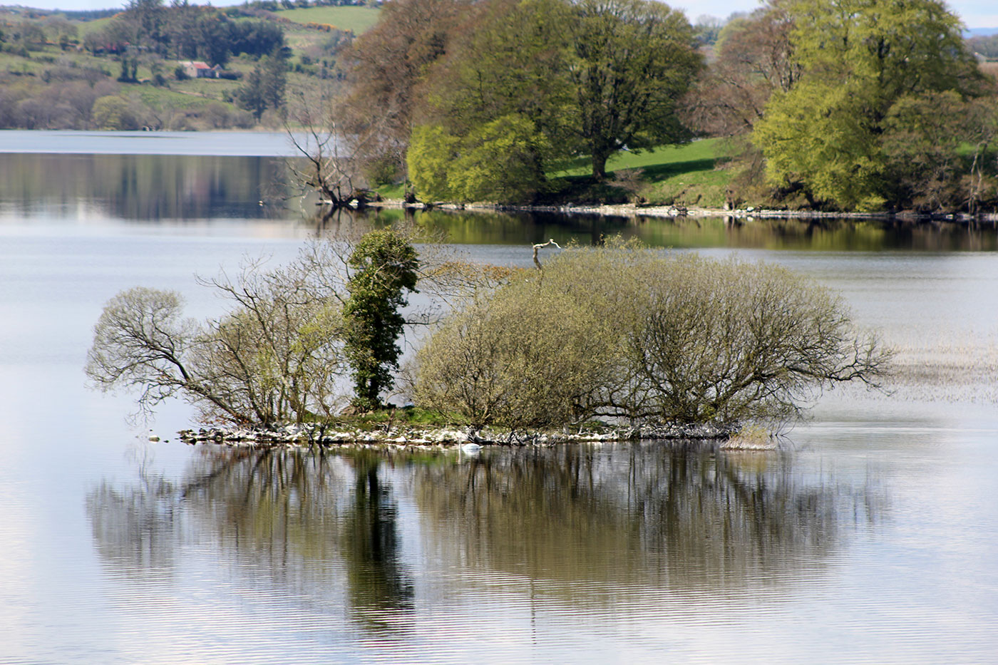  A crannog, om man-made island in Lough Arrow below Moytura. 