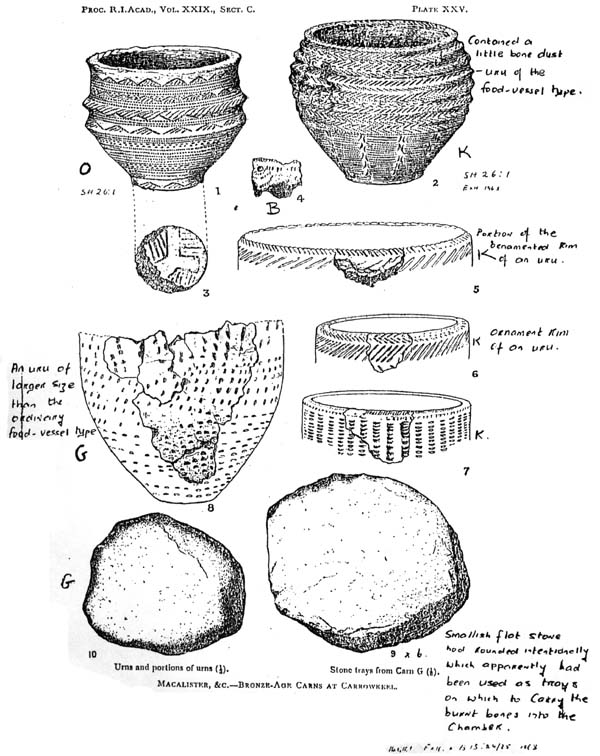 Pottery fragments from Carrowkeel.