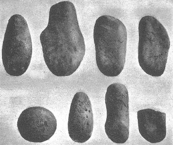 Eight water-rolled limestone pebbles from the chamber of Cairn F. The stones were buried beside the limestone pillar or standing stone within the chamber.