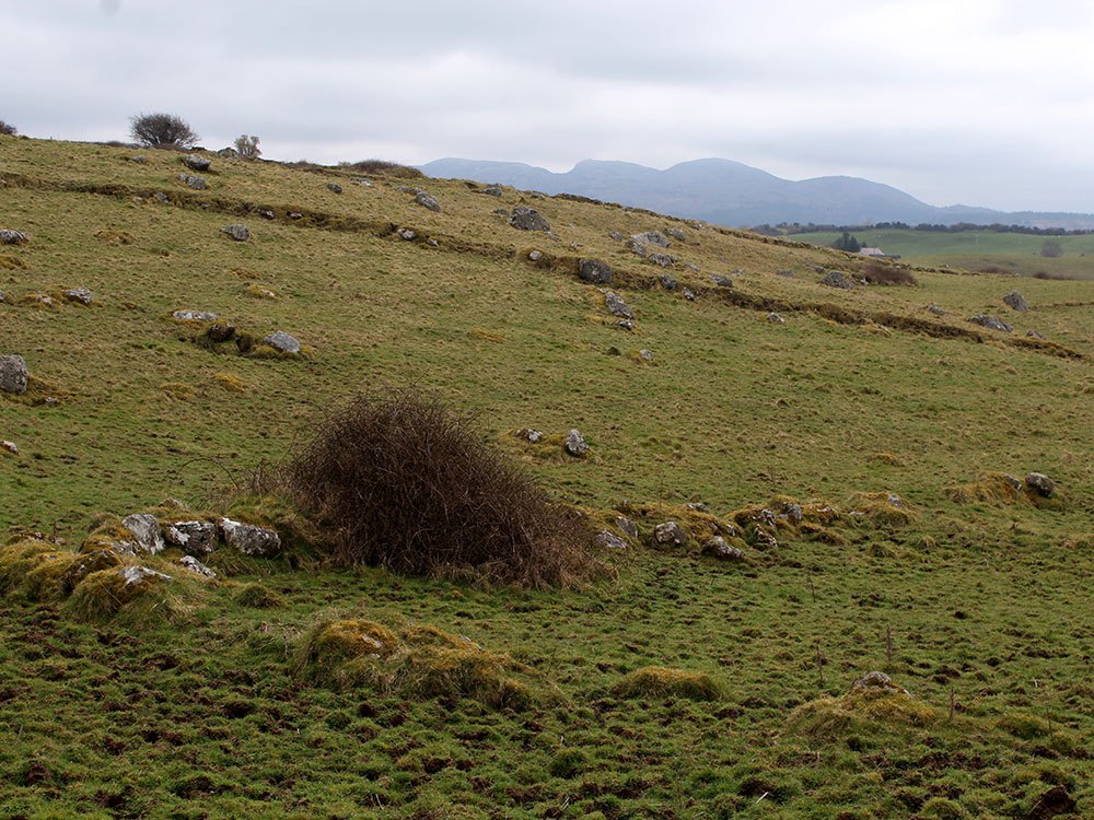 Stray rocks in Carrowmore