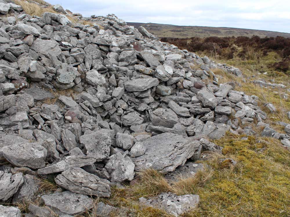 View from Treanmacmurtagh Cairn: unnamed, Sheecor, Treanmor and Kesh Cairn.