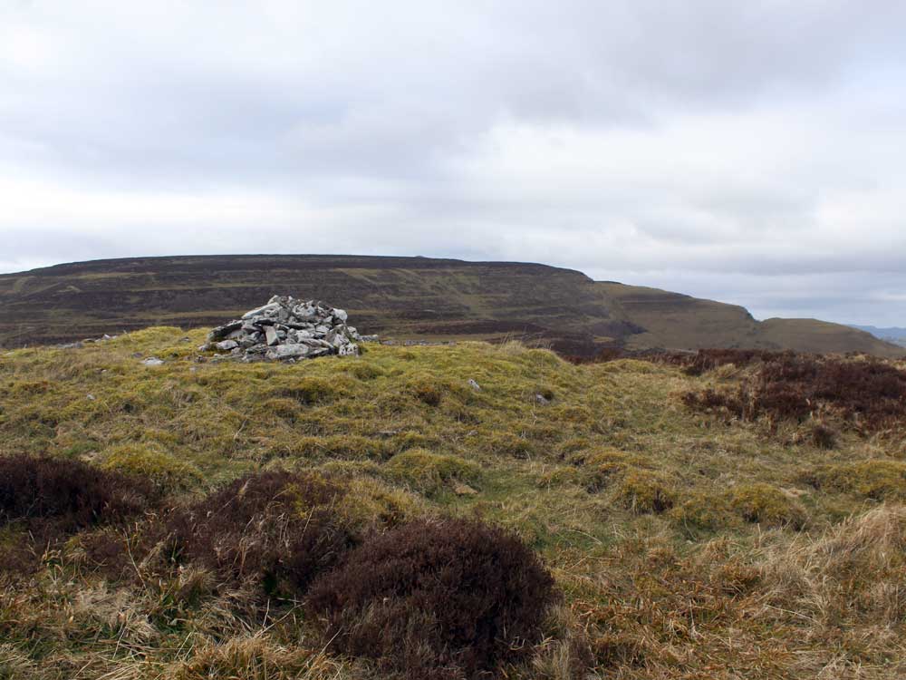 Treanmacmurtagh cairn.