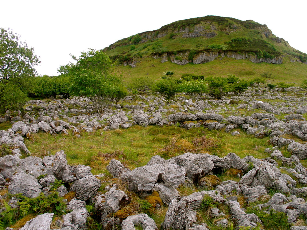 Doonaveeragh hut site.