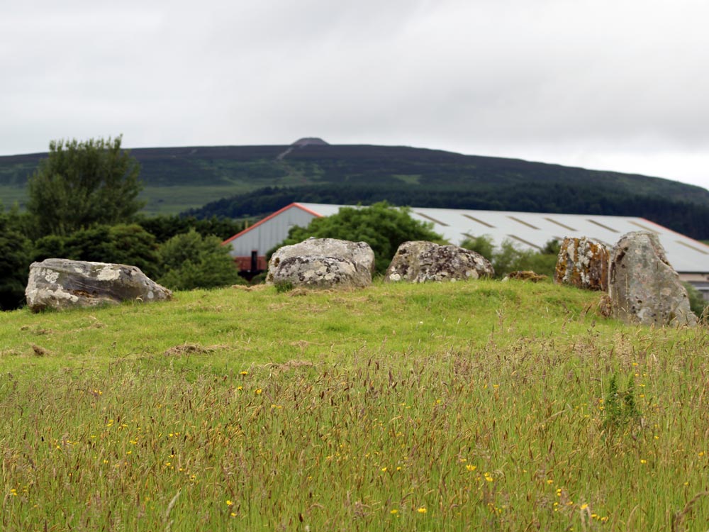 Site 58 at Carrowmore