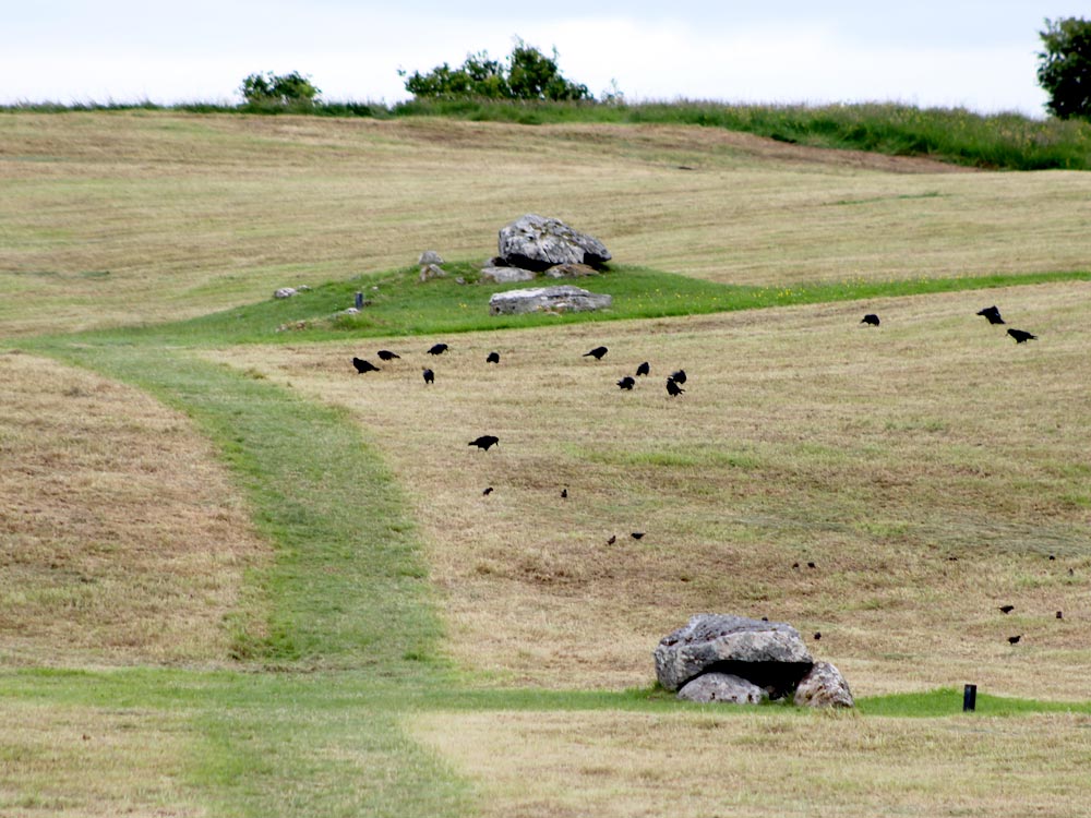 Carrowmore 52.