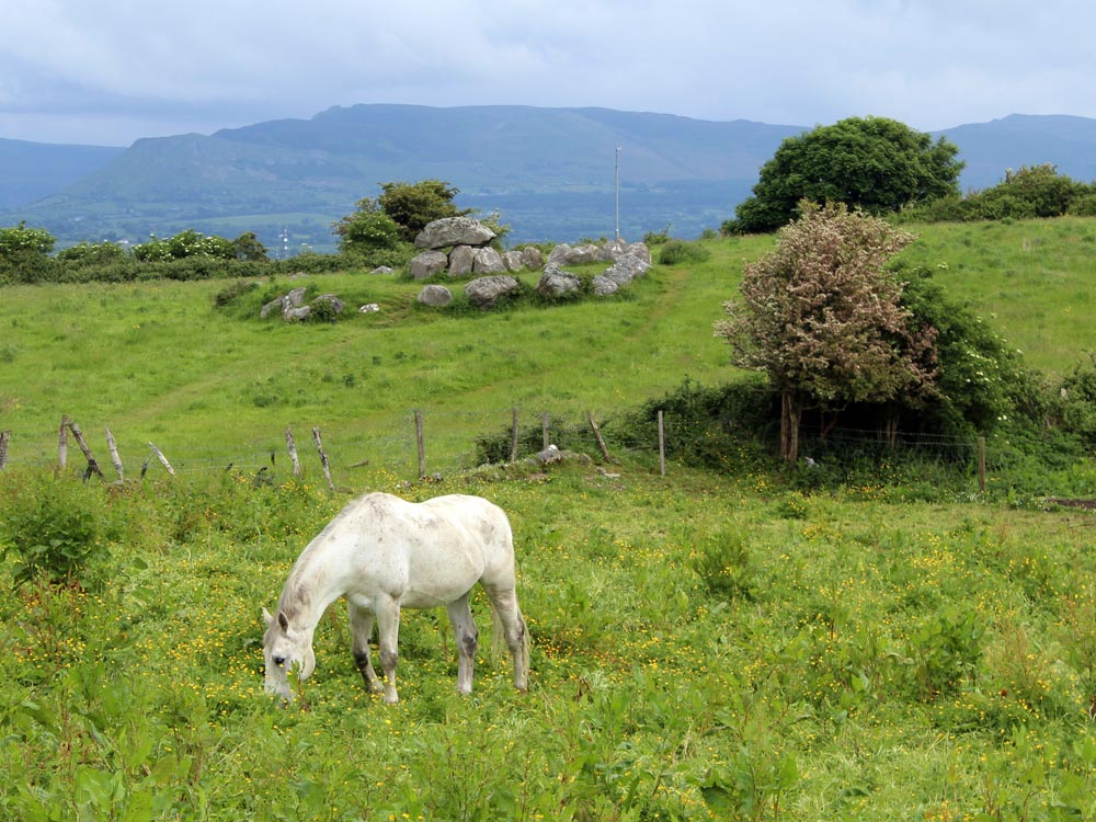 The white horse and the Kissing Stone.