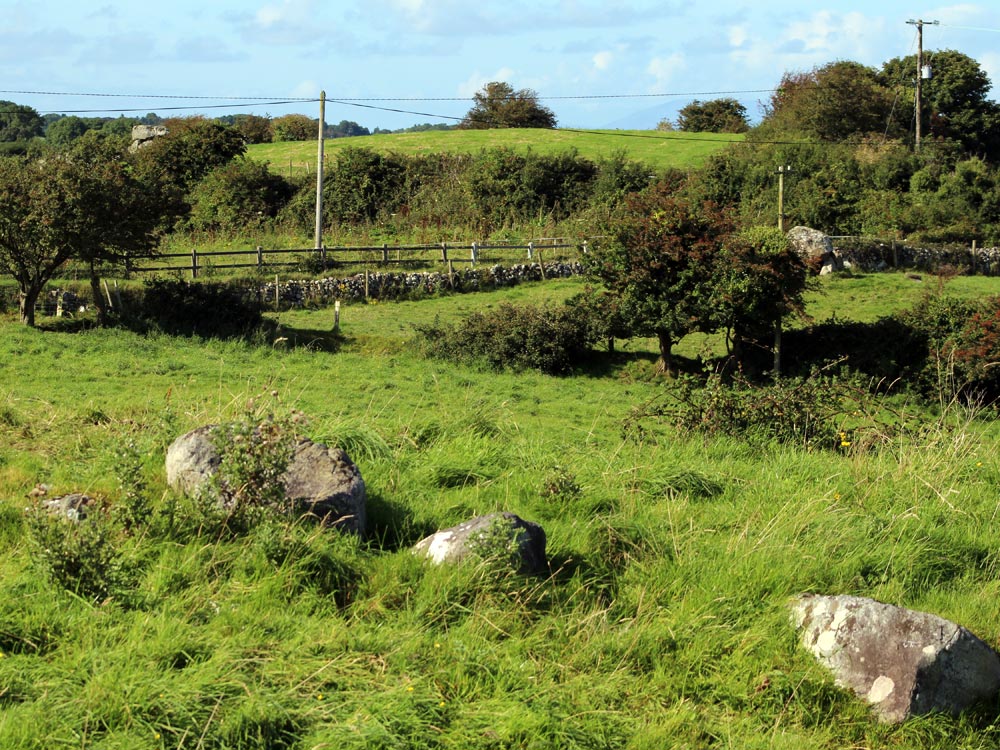 Site 13 at Carrowmore.