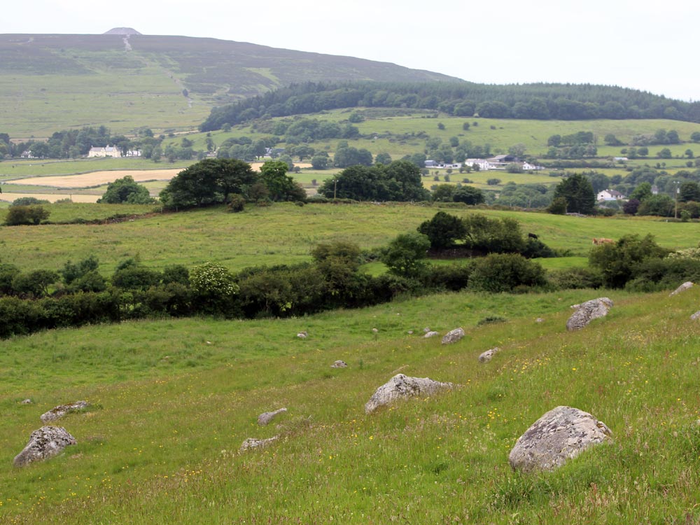 Stones at Carrowmore.