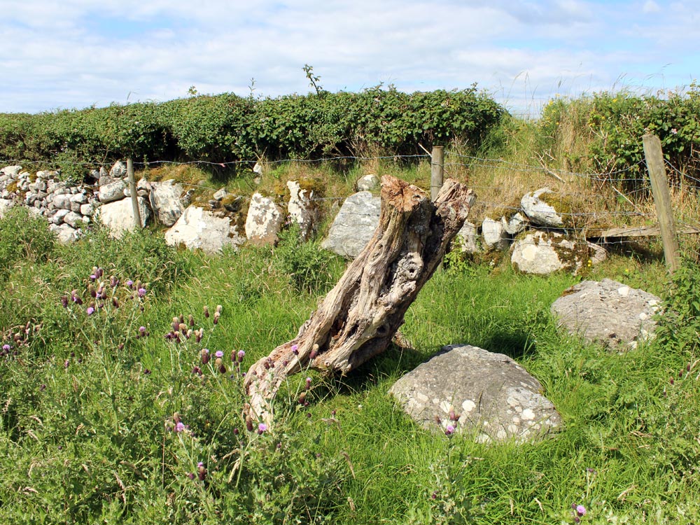 Site 19 at Carrowmore.