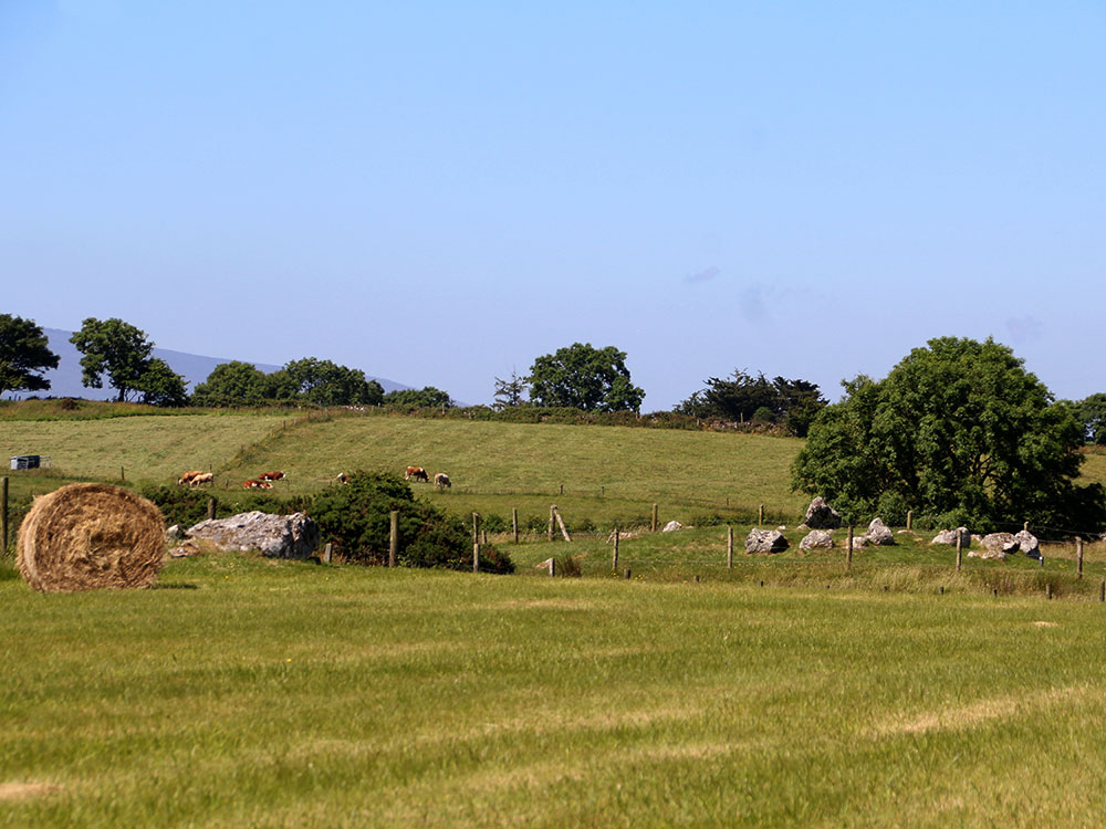 Dolmen 48 and Circle 49.