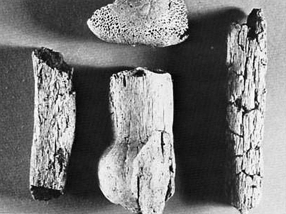 Red deer antler pins found in the chamber of Circle 27 at Carrowmore.