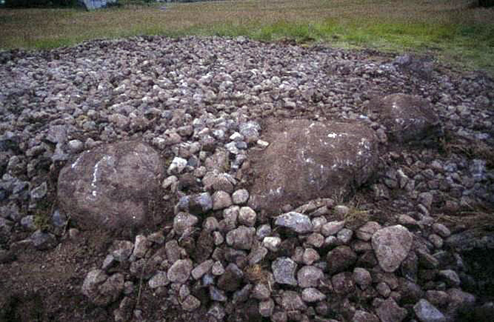 Carrowmore 55 before excavation.