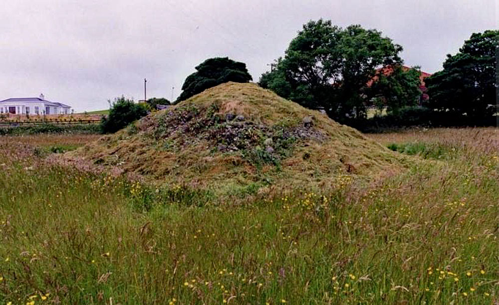 Carrowmore 55 before excavation.