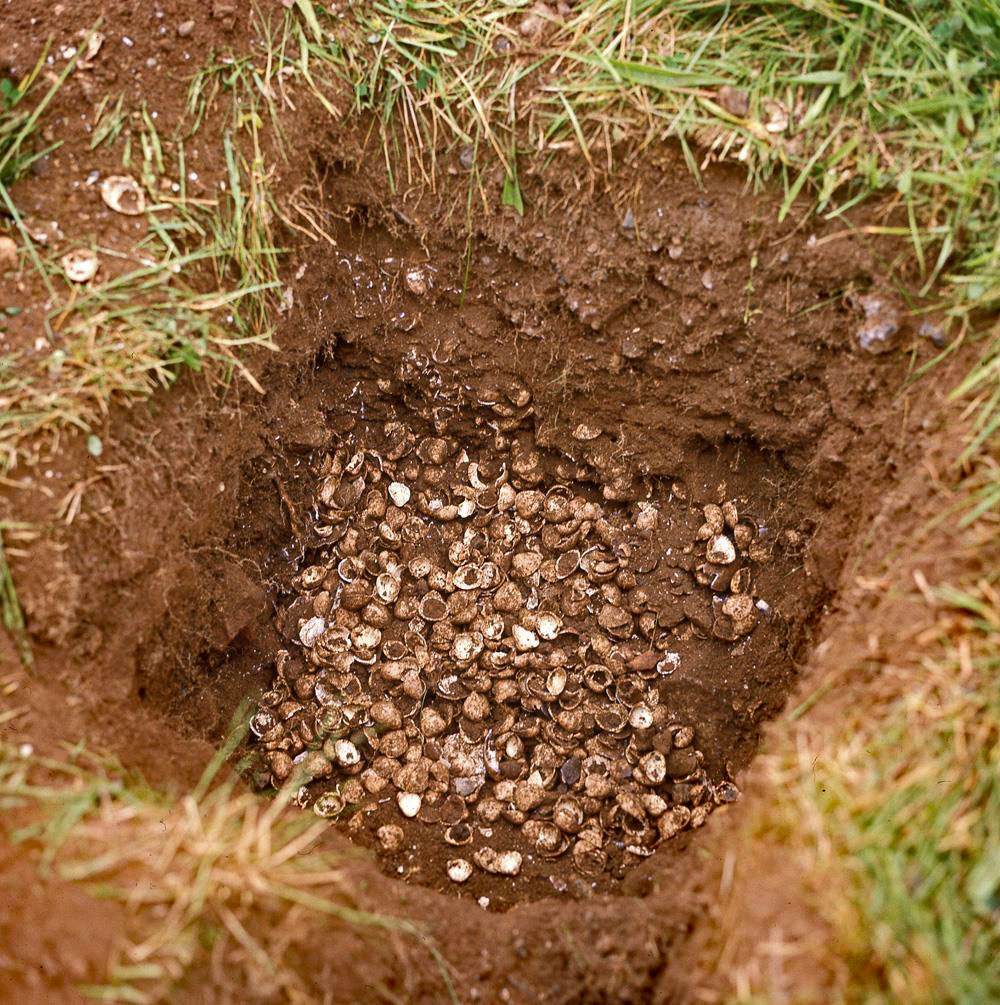 Excavations in Carrowmore 7.