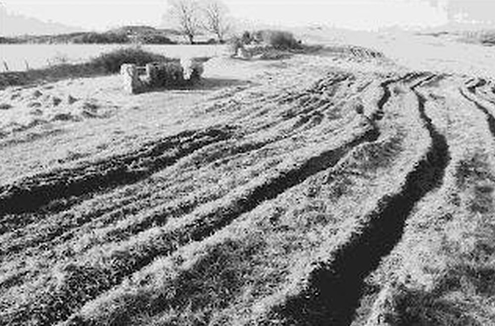 The large ruts left by heavy machinery working on a reinstatement scheme at Tomb 51 at Carrowmore.