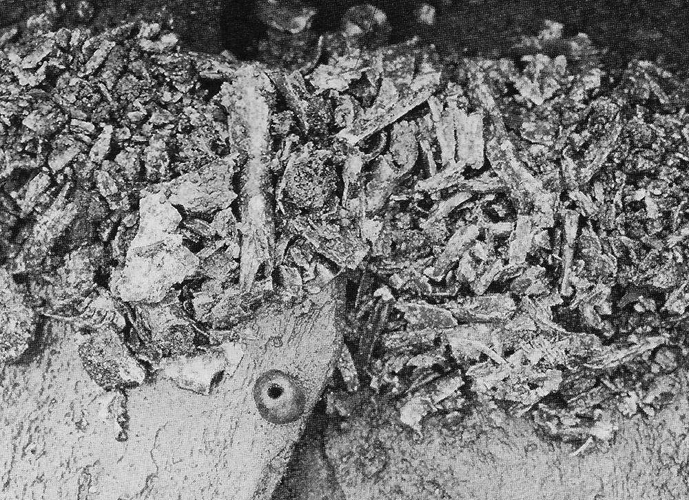 Carrowmore 3 during excavations.