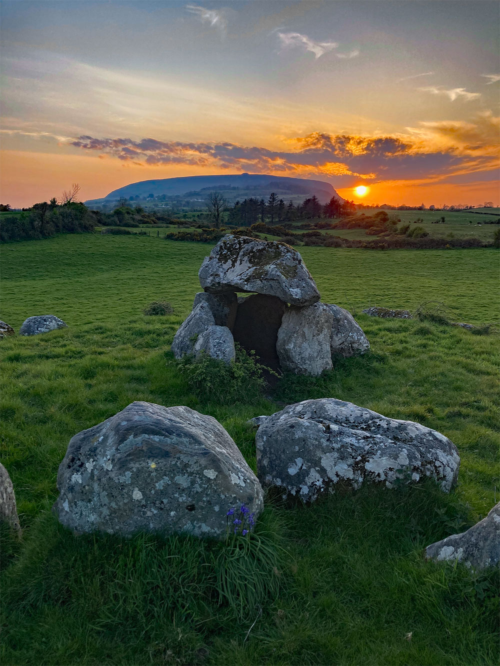 Carrowmore 7 looking west to Knocknarea.