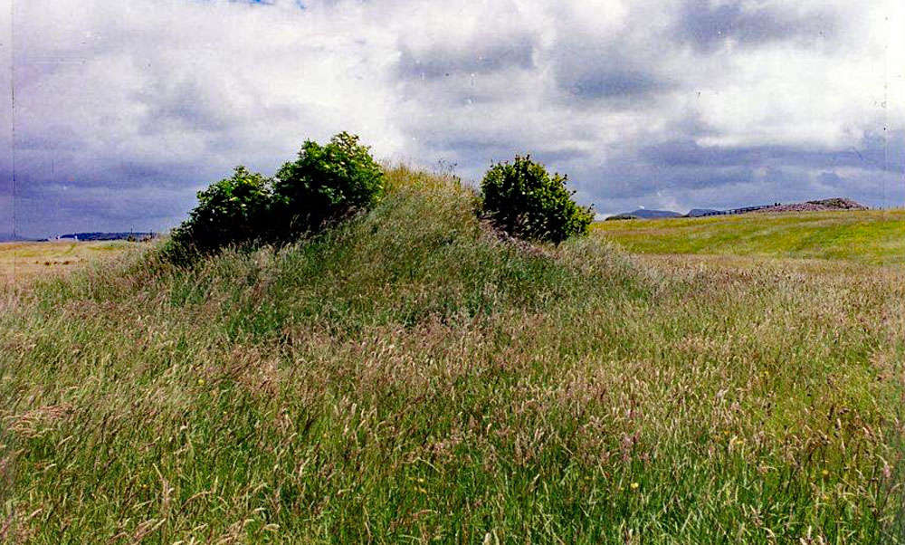 Surveying at Carrowmore 55 at Carrowmore in County Sligo.