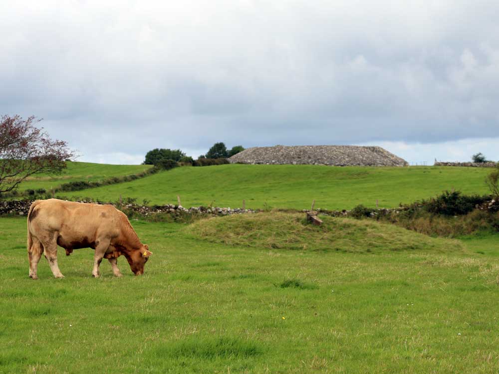 A Bronze age barrow and Listoghil.