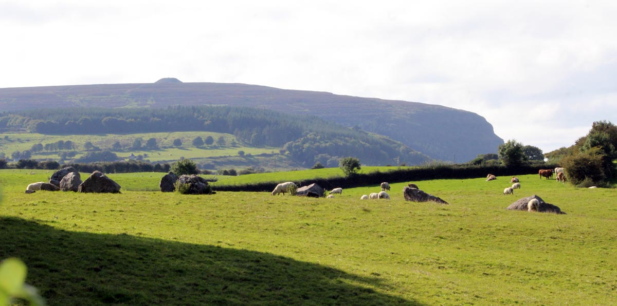 Destroyed
    circles to the north of Carrowmore.