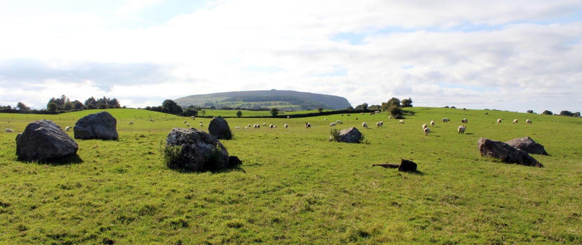 Circle 36 at Carrowmore