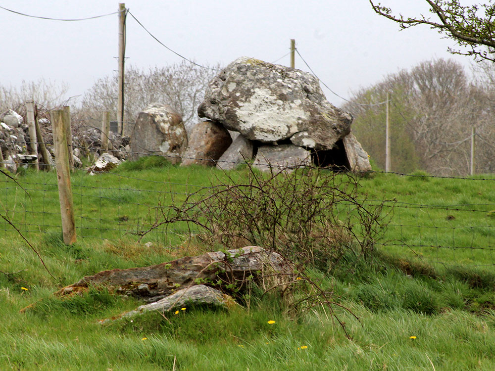 Carrowmore 13 and 14.