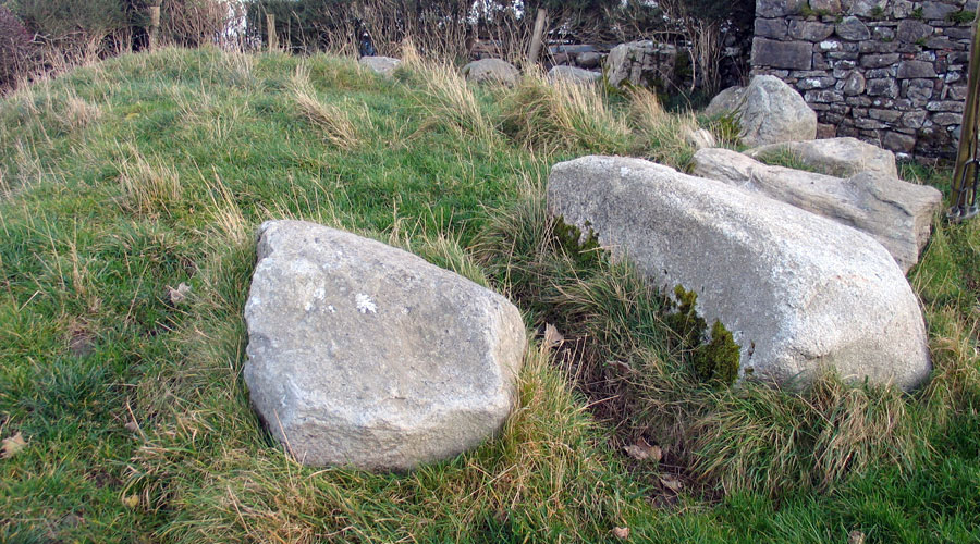 Circle 17 at Carrowmore.