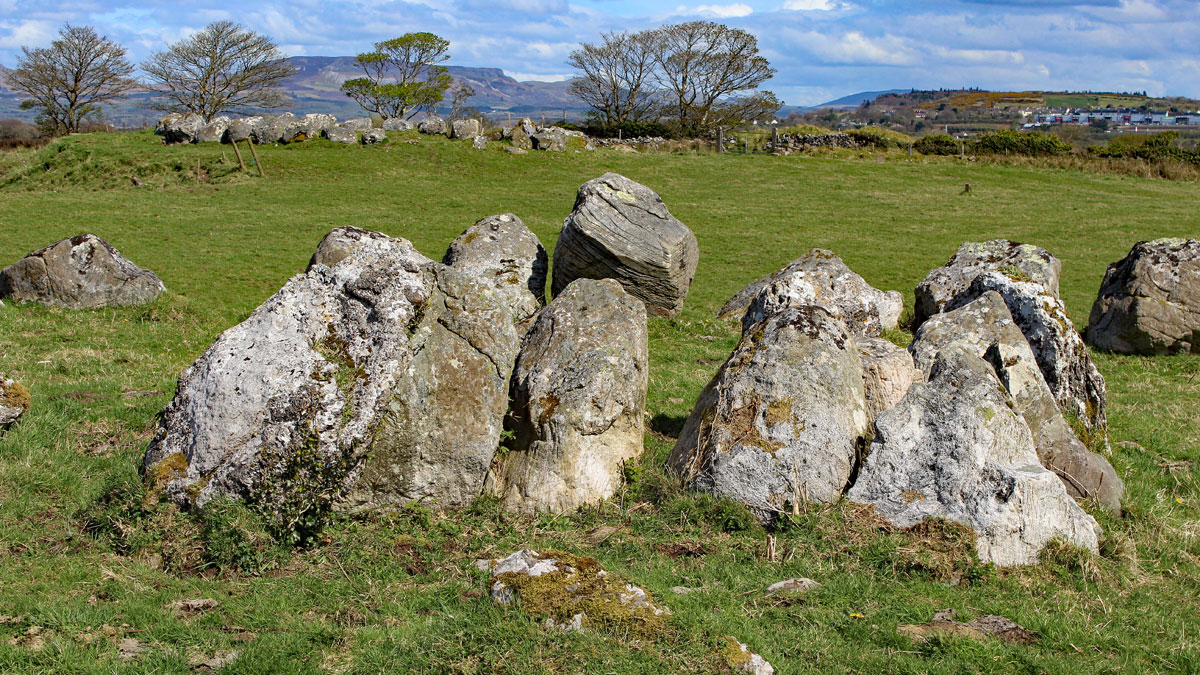 Circle  27 at Carrowmore.