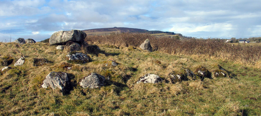 Circle 37 at Carrowmore.