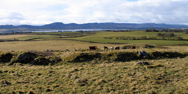 Ringfort at Carrowmore.