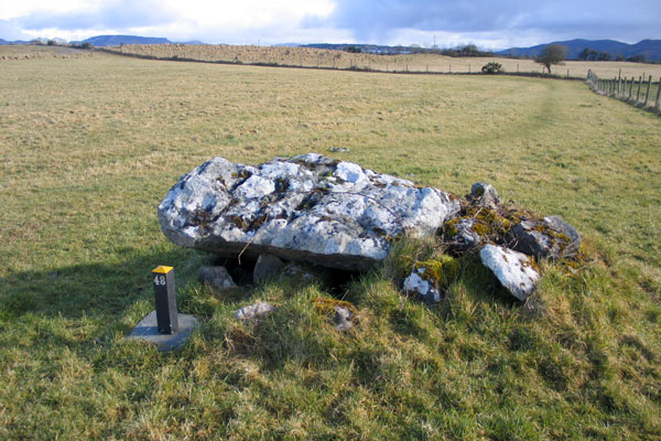 Dolmen 48 at Carrowmore.