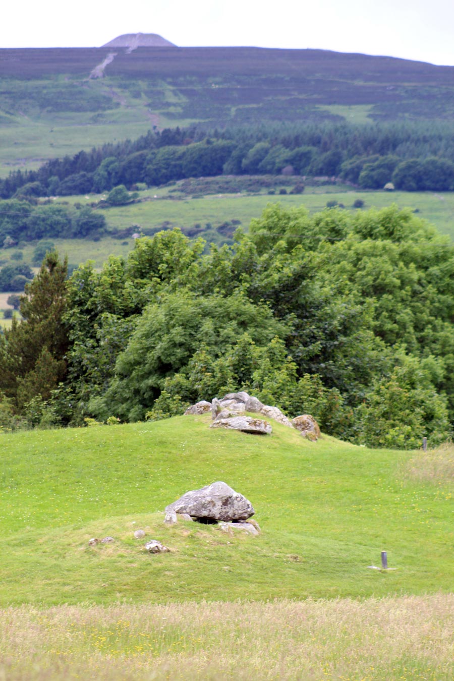 Carrowmore 52 and Queen Maeve's cairn on the summit of Knocknarea.