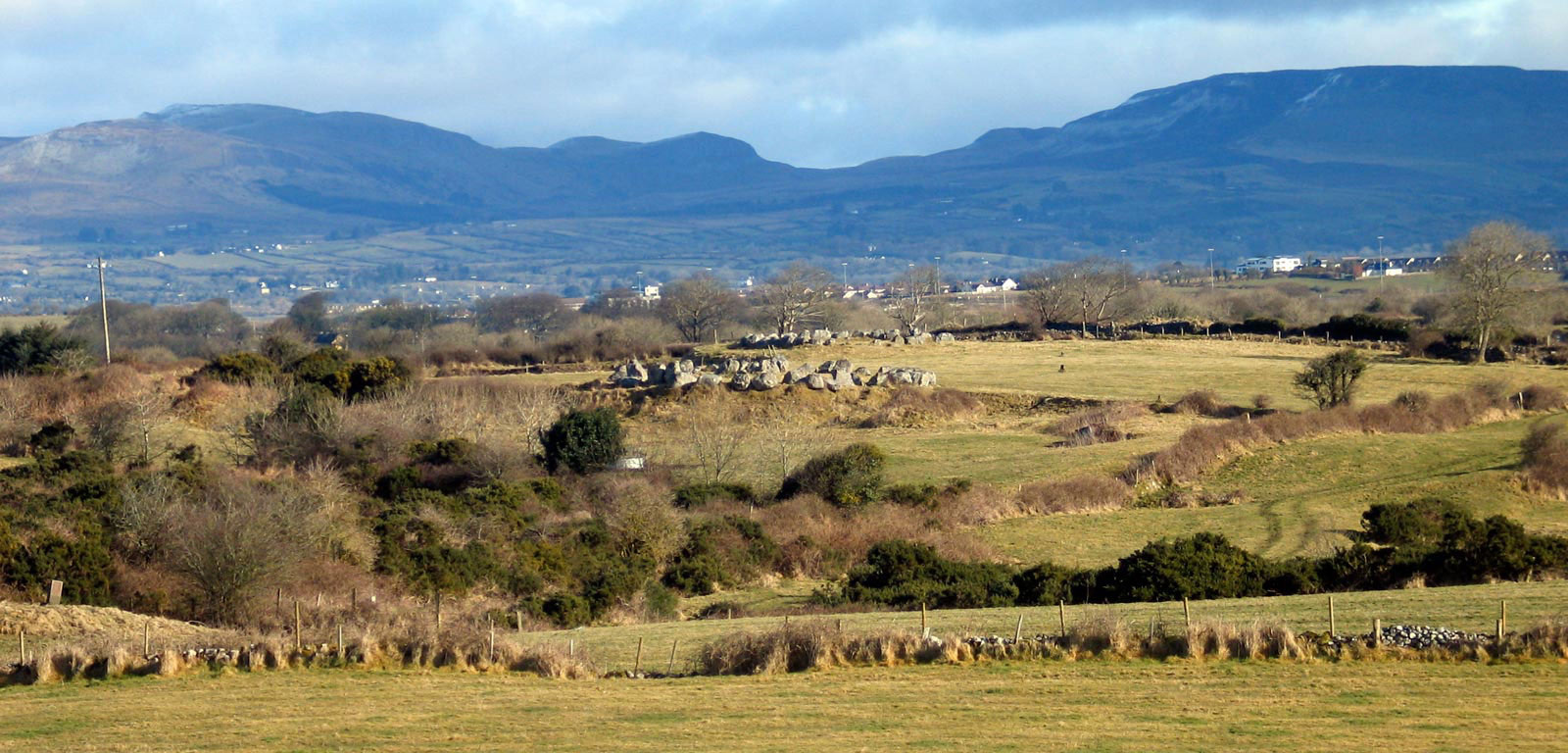 Circle 27 at Carrowmore.