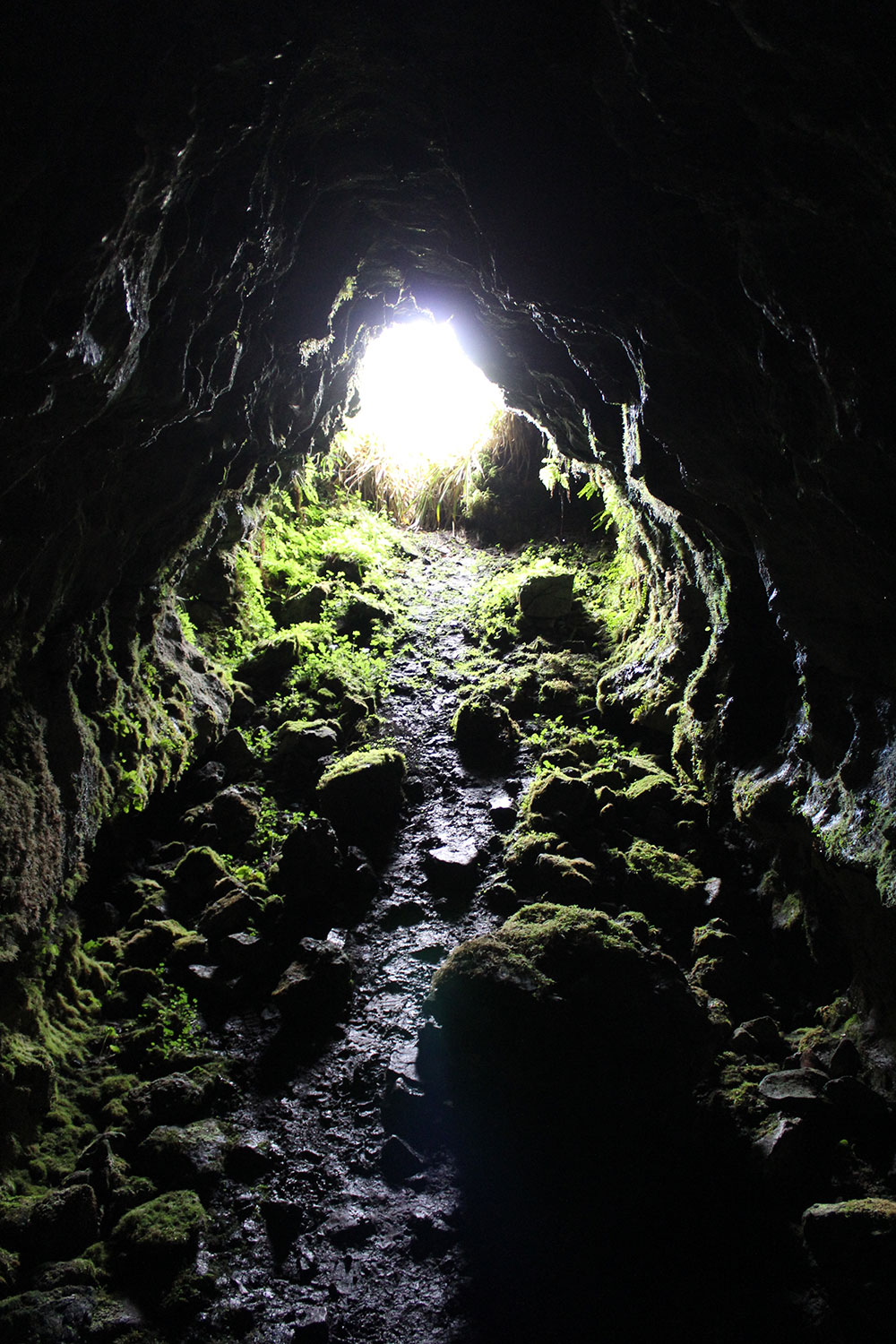 A cave in the north face of Knocknarea.