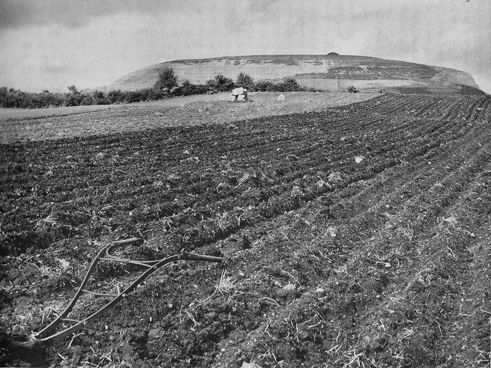 Extensive ploughing around Carrowmore 4, the Cromleach of the Phantom Stones.